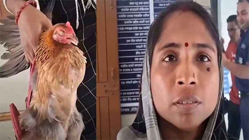 ভাসুরের লাঠির আঘাতে মুরগি আহত, বিচার চাইতে থানায় গৃহবধূ