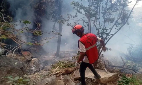 কেনিয়ায় হেলিকপ্টার বিধ্বস্ত, ৫ মার্কিন নাগরিকসহ ইকুয়েডরের গোয়েন্দা প্রধান নিহত