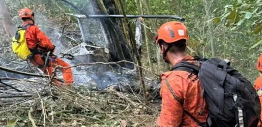 ব্রাজিলে হেলিকপ্টার বিধ্বস্ত, চালকসহ নিহত ৪