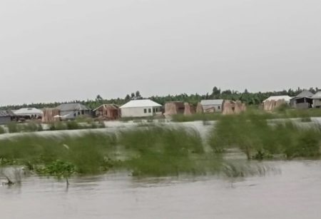 কুষ্টিয়ায় পদ্মার পানি বাড়ছে, নিম্নাঞ্চল প্লাবিত; সাপের আতঙ্কে বানভাসি মানুষ