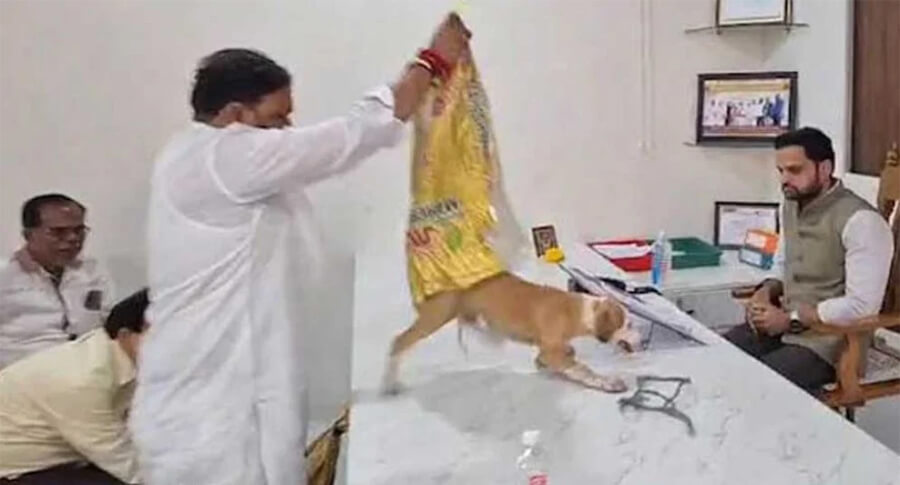 কর্মকর্তার টেবিলে ছেড়ে দেওয়া হলো পথকুকুর, অভিনব প্রতিবাদ যুবসেনার