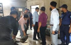 মিষ্টির সিরায় মরা পোকা, অস্বাস্থ্যকর পরিবেশে বেকারি; জরিমানা ১ লাখ